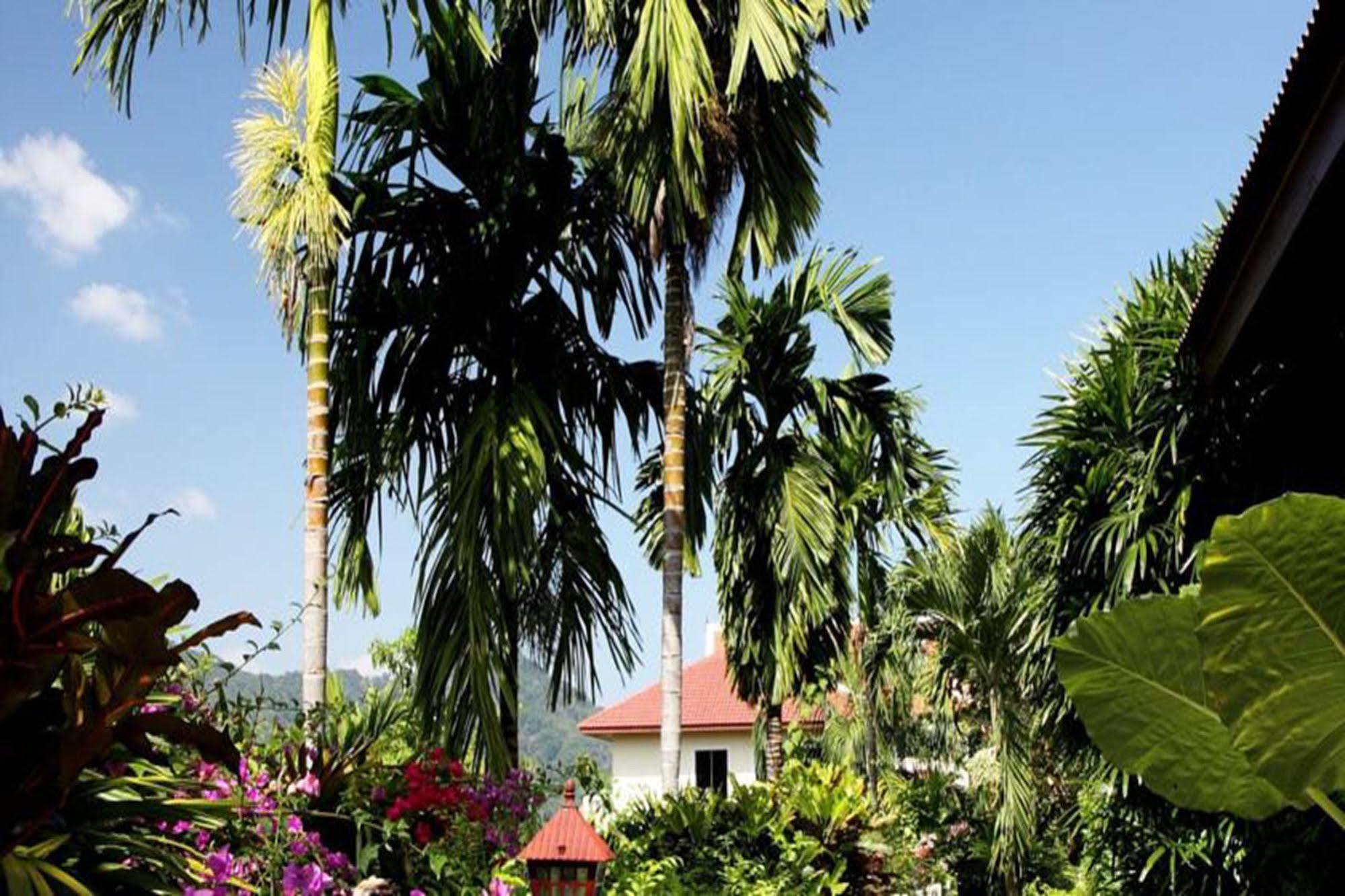 Patong Cottage Resort Zewnętrze zdjęcie